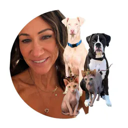 Angie, Ozzy & The Gang