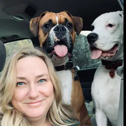 Heidi and her Boxer Crew