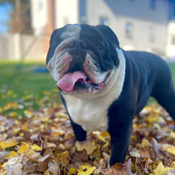 winston_and_thebaby
