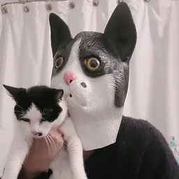 Meg's Cat Creations