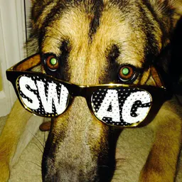 Swag