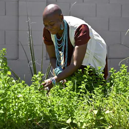 muumuusinthegarden