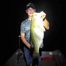 chatterbaitkid