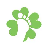 Lucky Feet Shoes