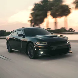 Ski’s Charger