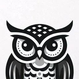 TechOwl