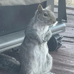 momlookwhatifoundd