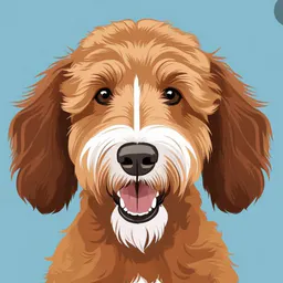 Bubba The Goldendoodle