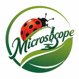 Mini Explorer