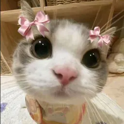 Sunny lucky