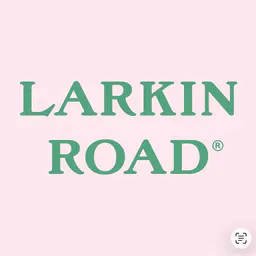 LARKINROAD Español