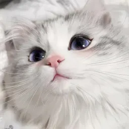oppjhowfbjo