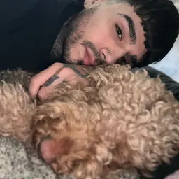 Wilberfinds