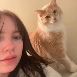 Captain Whiskers
