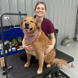Ry’s Dog Grooming
