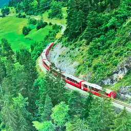 HST9819