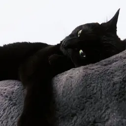 Mimi smile