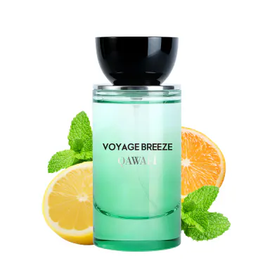 Voyage Breeze | Citrus Aromatic Fruity | Extrait De Parfum 50ml/100ml | Long Lasting Luxury Fragrance | Daily summer fragrance Summervibes Citrusy Perfume Citrusy Cologne sohochic