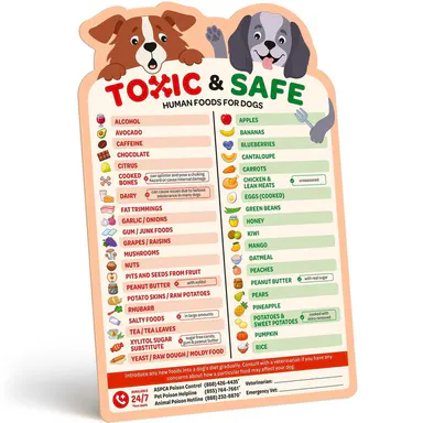 EBPP Magnetic List of Foods Dogs Can Eat - Dog Feeding Chart Fridge Magnet - Foods Dogs Shouldnt Eat Chart Decorative Magnets - Dog Safety Emergency Numbers Magnet - New Puppy Essentials