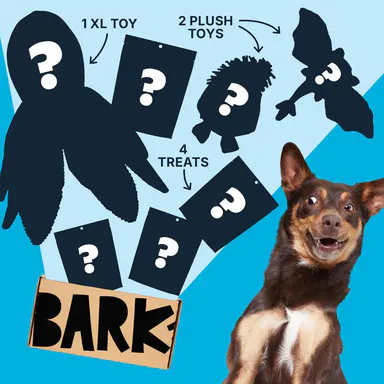 Bark Mystery Box